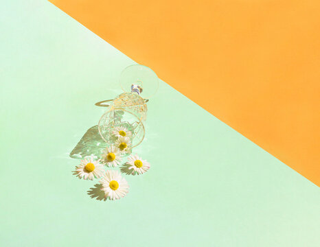 White deisy flowers in crystal glass on sunny day. Minimal concept on yellow and pastel green background.