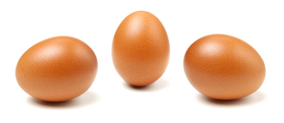 brown eggs on white background