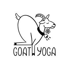 Goat yoga outline illustration. Modern fitness. Flat vector illustration of funny animal isolated on white background