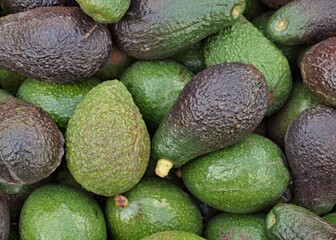 Healthy avocados from the market