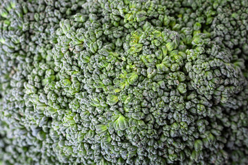 Close up photo of broccoli sprouts. Broccoli texture. Green vegetable texture