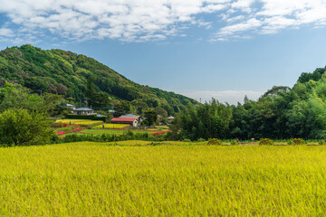 日本の田園風景【神奈川県】

Rural scenery in Japan