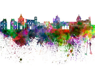Obraz premium Palermo skyline in watercolor on white background