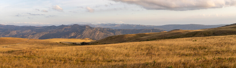 Fototapeta premium Nature