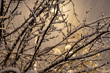 street lamp and wrought iron at night when snowing. Blur Motion. Selective Focus bars