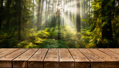 Empty old wooden table with sunny forest in background