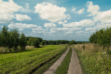 Fototapeta na wymiar Dirt road in countryside. Walking under blue sky with clouds. Green forest on horizon. Atmosphere of tranquility and freedom from civilization