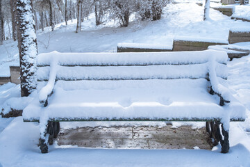 trees, public park and bench under snow in winter season in urban.