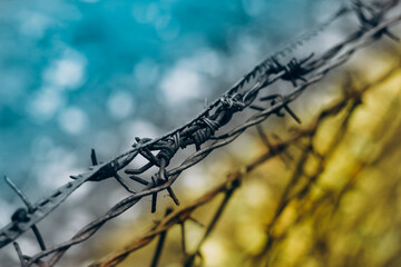 Barbed wire spiral security barrier, prison fencing in blue yellow colors of Ukraine flag.