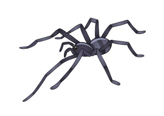 spider clipart