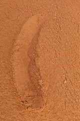 Close up of organic red natural clay powder for face mask, face cream, body wrap, selective focus. Abstract background