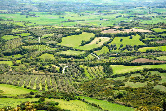 View Of Marmilla From Giara Plateau, Giara basaltic upland, Medio Campidano, Sardinia, Italy
