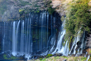 初春の白糸の滝　静岡県富士宮市　Shiraito Falls in early spring. Shizuoka-ken Fujinomiya city.