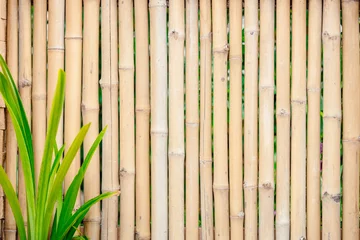 Fotobehang bamboo wooden stick wall for summer tropical hawaii sea beach nature concept background © Quality Stock Arts