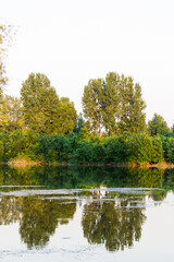 View of the nature reserve, at the end of a summer day.