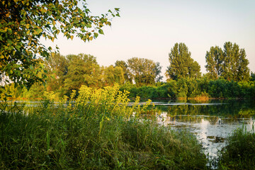 View of the nature reserve, at the end of a summer day.