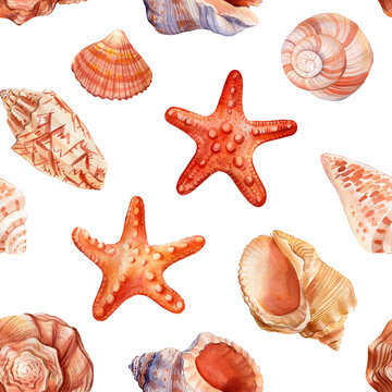 Seamless watercolor pattern with sea shells. Hand drawn vintage sketch elements. Nautical background for wallpaper