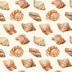 Seamless pattern with sea shells on beige background. Hand drawn watercolor underwater life 