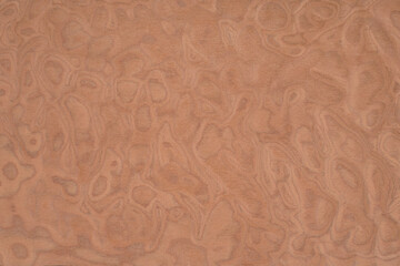 Radica Exotic wood panel texture pattern