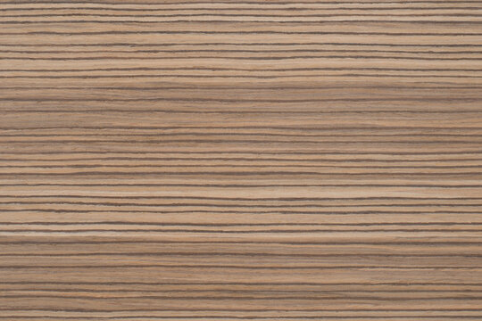 Zebrano 7 Exotic wood panel texture pattern