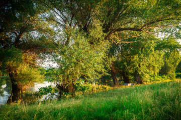 View of the nature reserve, at the end of a summer day.