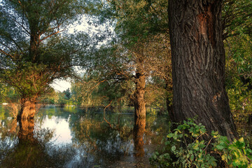 View of the nature reserve, at the end of a summer day.