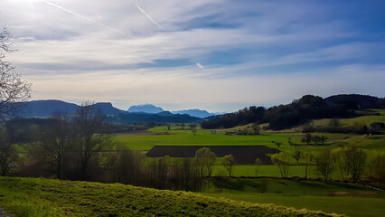 A panoramic view on an alpine landscape of Austria. Lush green meadows and crop fields spread on a vast surface. There are high Alps in the back. Few trees on the side, forming a small forest.