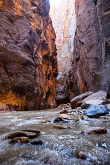 The narrows in Zion national park