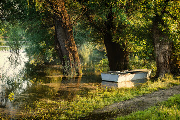 View of the nature reserve, at the end of a summer day.