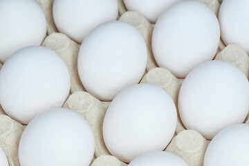White eggs in recycled paper tray close-up. Selective focus