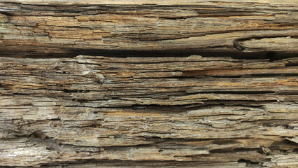 Texture of old wood background. Wooden wall pattern for design.