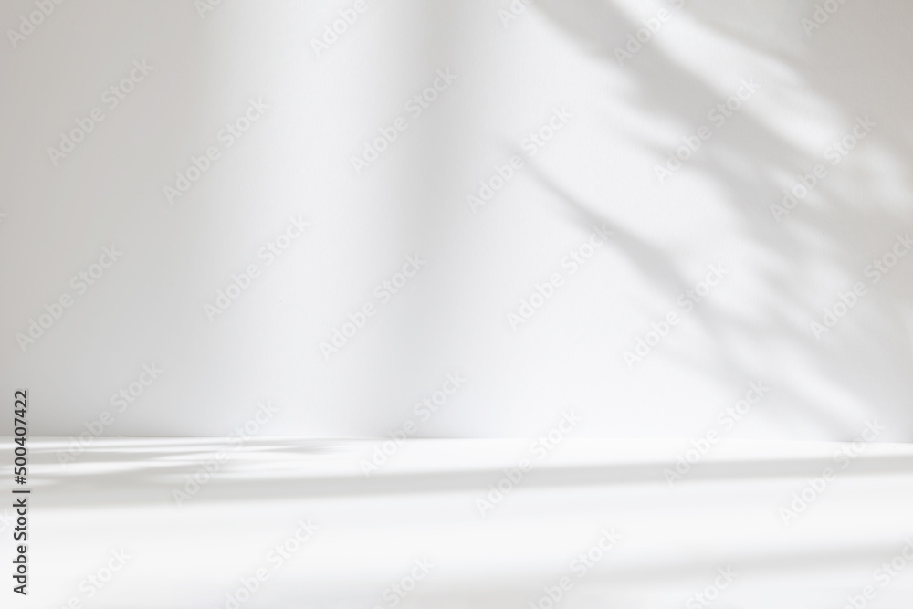 Poster Abstract white studio background for product presentation. Empty room with shadows of window and flowers and palm leaves . 3d room with copy space. Summer concert. Blurred backdrop.