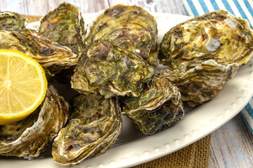 closed oysters in a dish with lemon