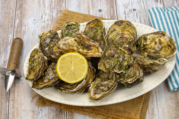 closed oysters in a dish with lemon