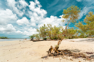 Pristine white tropical beach with rocks, blue sea and lush vegetation on the African Island of Pemba, Zanzibar.