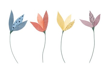 Set illustration of colorful flowers. Delicate botanical illustration