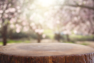 Naklejka premium wooden table in front of spring blossom tree landscape. Product display and presentation