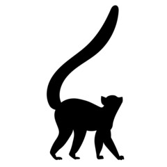 lemur silhouette, on white background, isolated, vector