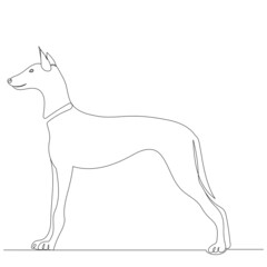 dog continuous line drawing, sketch, vector