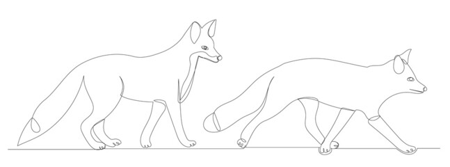 fox continuous line drawing, sketch, vector