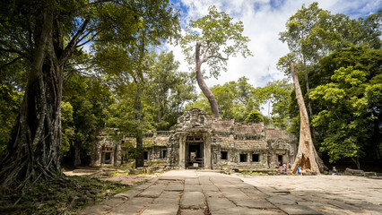 Ruin of Ta Prohm Temple near Angkor Wat. Seedlings of strangler figs or tetrameles trees grew with...