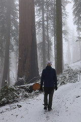 man walking in the snow