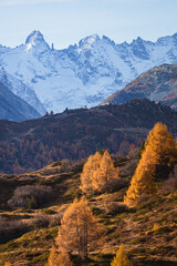 autumn in the Swiss Alps with its colors, mountains, glaciers and typical villages, near the village of Maloja, Engadine, Switzerland