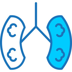Fototapeta premium Kidneys Icon