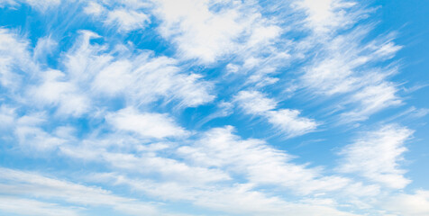 Blue sky and white clouds background - Pillowy clouds cover a blue sky in the background