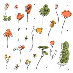 Vector collection with wildflowers and butterflies. Sketch style. Elements for your design of packaging, cards, invitation, pattern and other.
