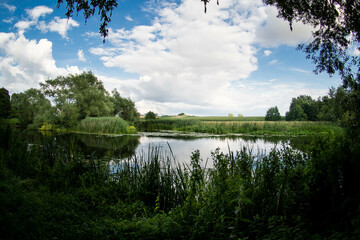 Obraz premium Lake and forest