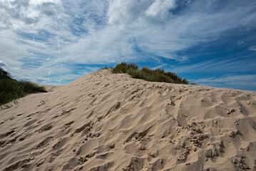 sand dune - St Helen - East Coast Tasmania - Australia