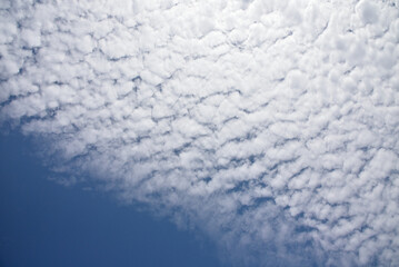 Mackerel cloud 