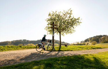 Fahrrad Fahrerin fährt mit Ihrem E-Bike  im Sonnen Gegenlicht im Frühling in schöner Odenwald Landschaft.